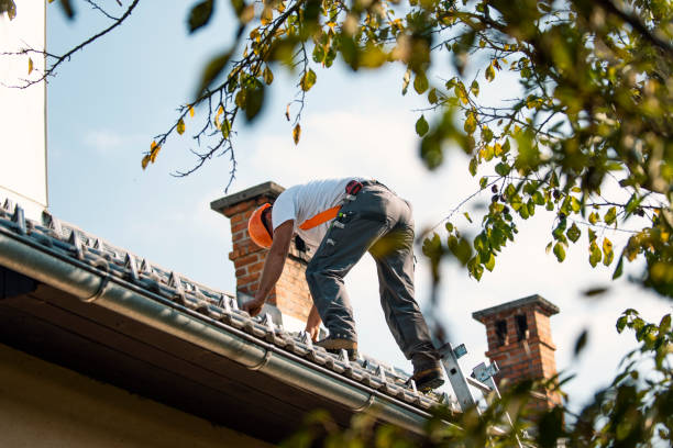 Best Storm Damage Roof Repair  in Grenelefe, FL