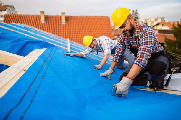 Best Roof Waterproofing Services  in Grenelefe, FL